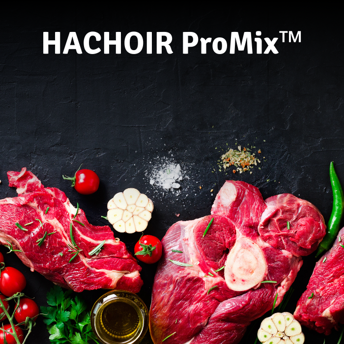 Hachoir Mixeur professionnel