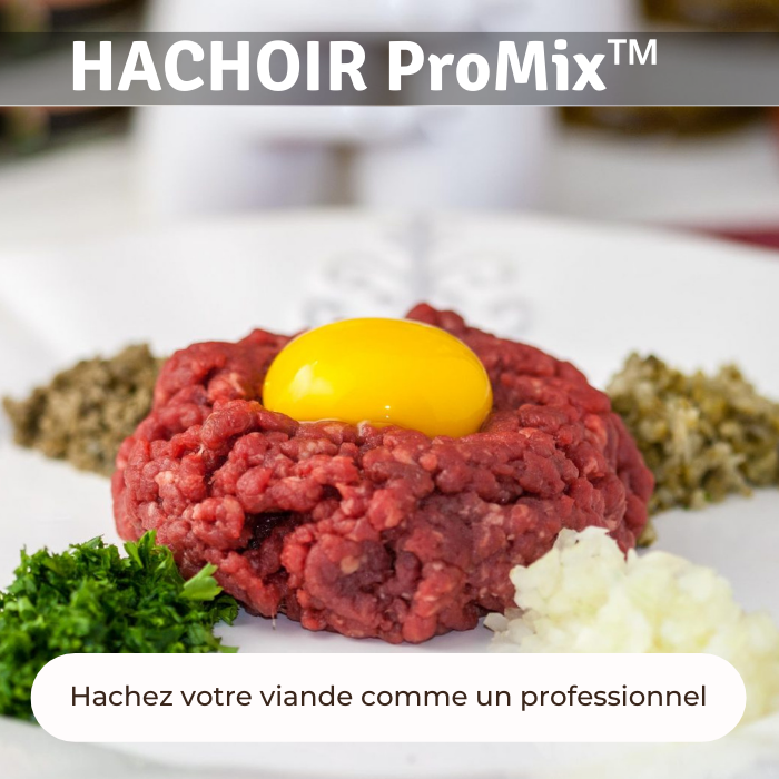 Hachoir Mixeur professionnel